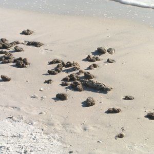 Meet your Posher, Joann